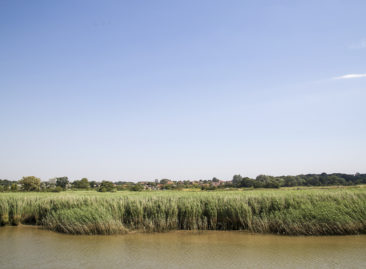 Visit Snape Maltings for glorious views and fabulous shopping