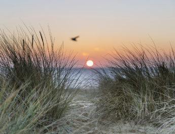 southwold sunrise by Sarah Groves